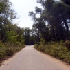 hangulatosutca
