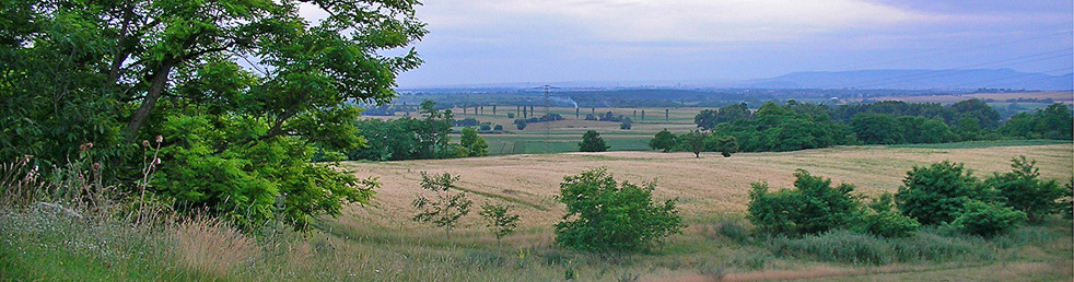 nagytarcsa-kornyek-017