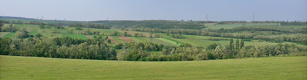 nagytarcsa-kornyek-024